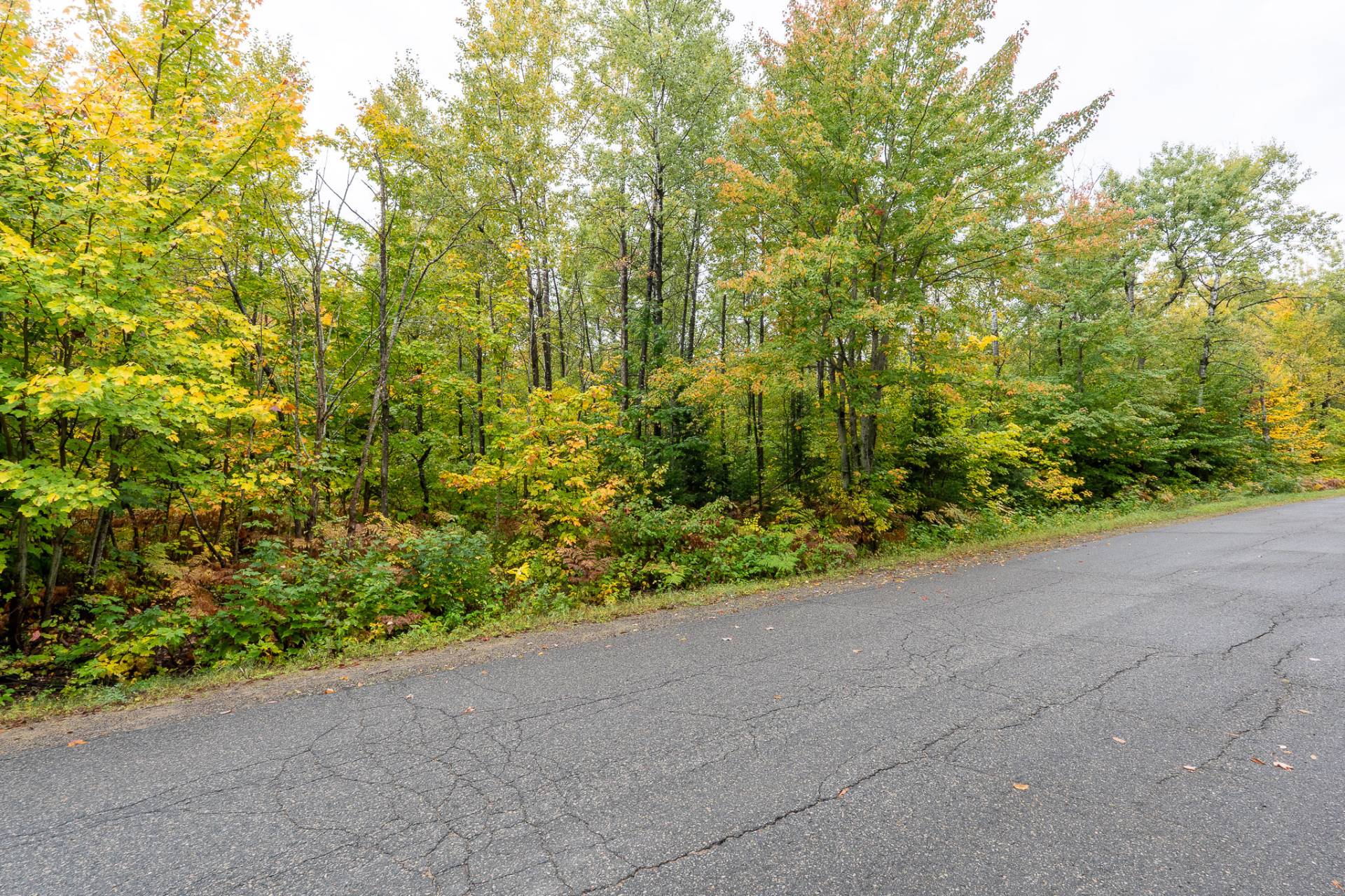 {"FR":"Bois&eacute;","EN":"Wooded area"}