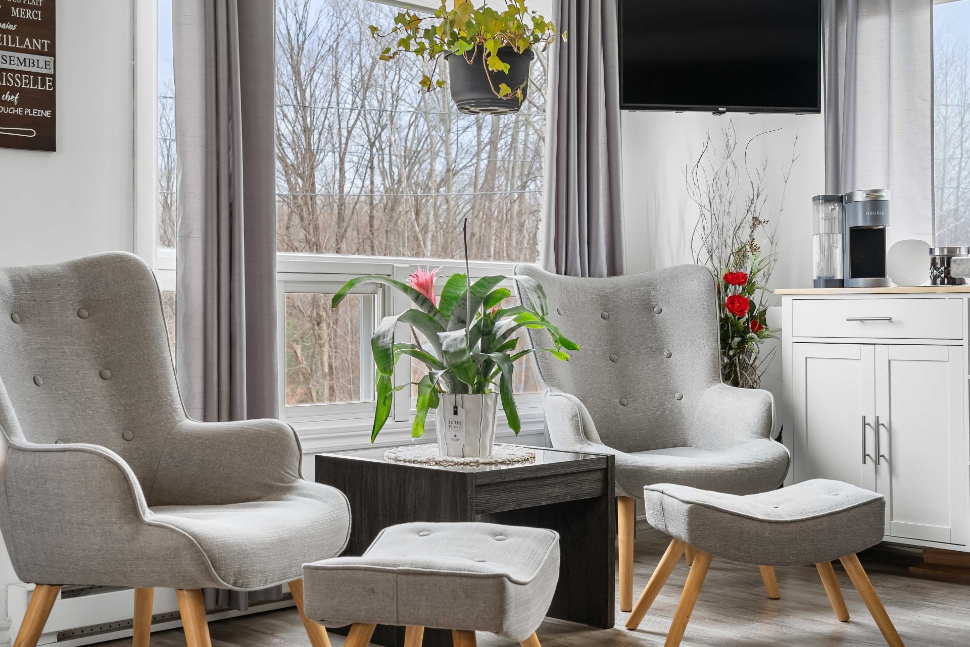 {"FR":"Salon","EN":"Living room"}