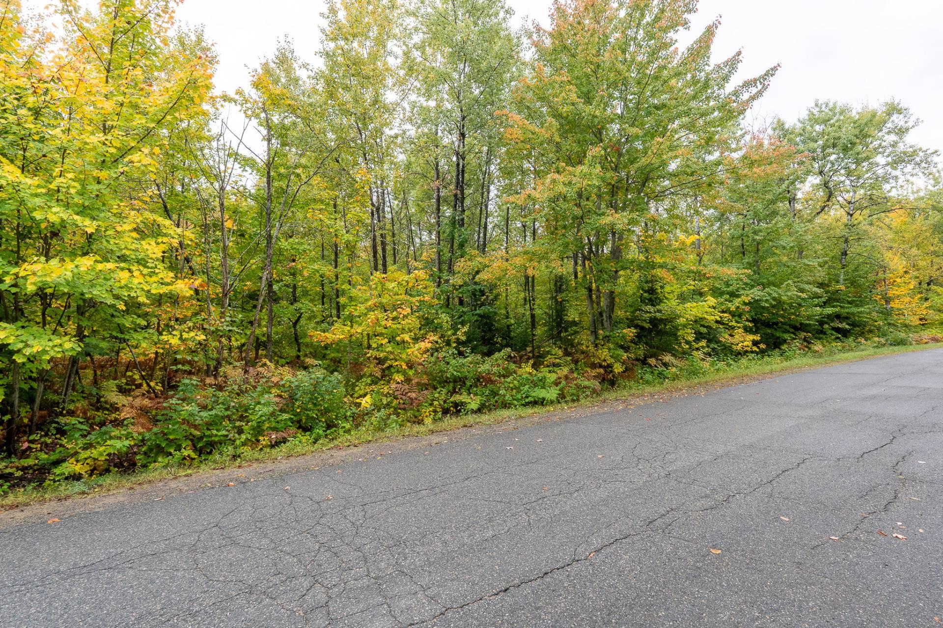 {"FR":"Bois&eacute;","EN":"Wooded area"}